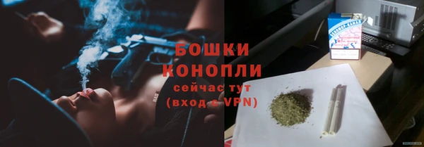 прущие грибы Богданович
