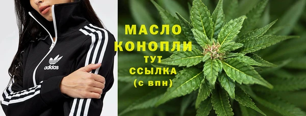 стаф Белокуриха