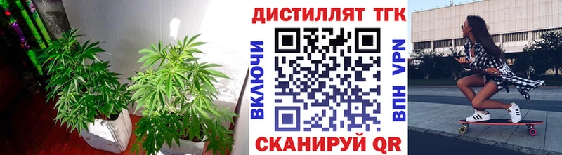 ТГК концентрат  маркетплейс Telegram  Дубна  купить наркотик 